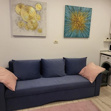 Downtown Apartment Boutique - Blue & Pink Bukarest Kültér fotó